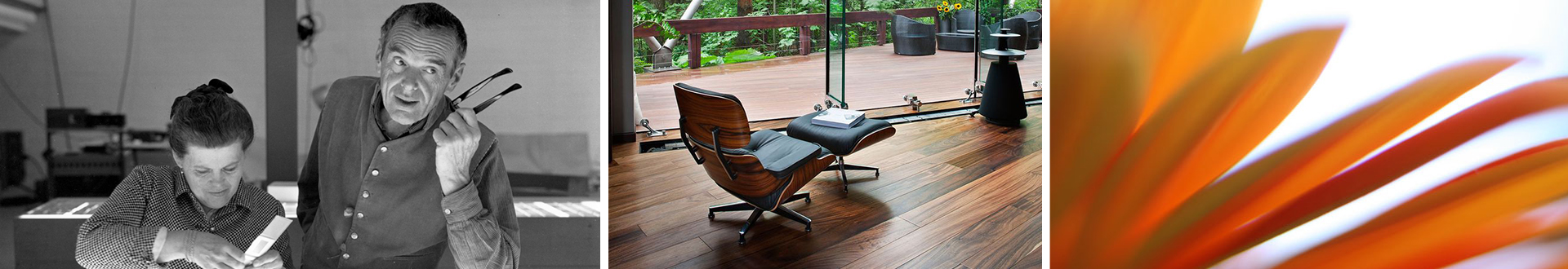 开云体育-开云（中国） 设计师