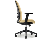 ��Ƥ�а���